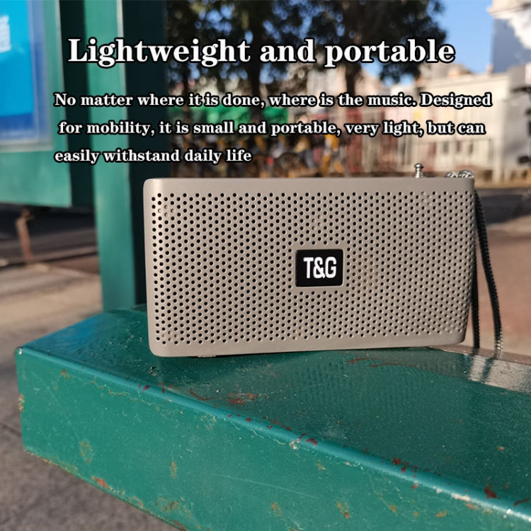 T&G TG282 Portable Bluetooth Speakers with Flashlight, Support TF Card / FM / 3.5mm AUX / U Disk / Hands-free Call(Gray) - HoMEdemic™ 