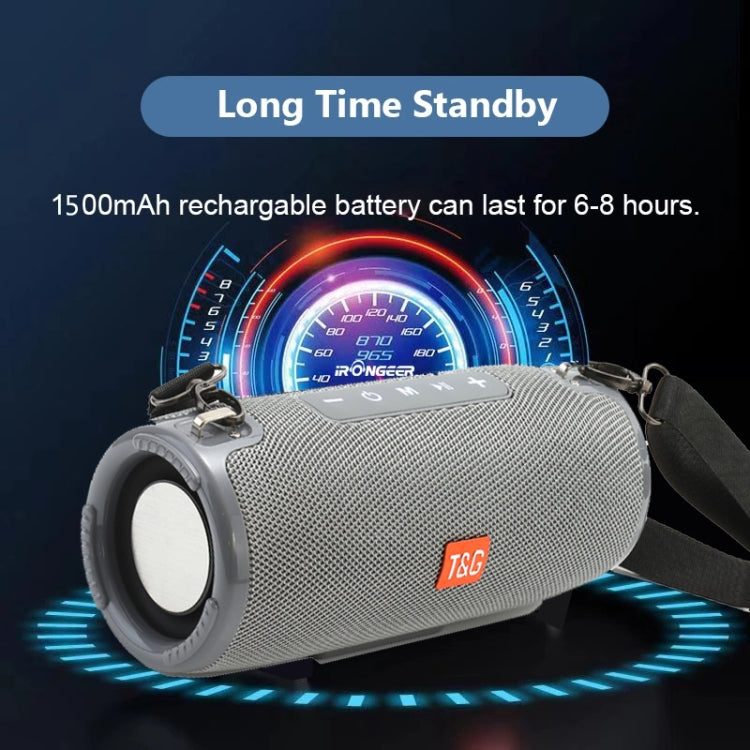 T&G TG324 High Power Waterproof Portable Bluetooth Speaker Support FM / TF Card(Gray) - HoMEdemic™ 