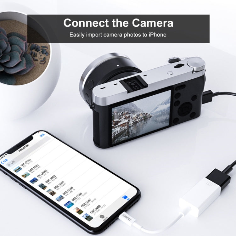 ENKAY ENK-AT108 8 Pin to USB 3.0 OTG Adapter Data Cable for iPhone / iPad - HoMEdemic™ 