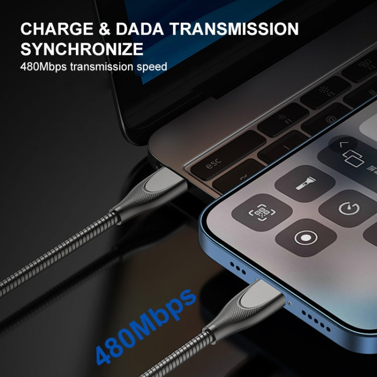 ENKAY ENK-CB131 USB to 8 Pin Carbon Steel Hose Spring 2.4A Fast Charging Data Cable, Length:2m(Silver) - HoMEdemic™ 