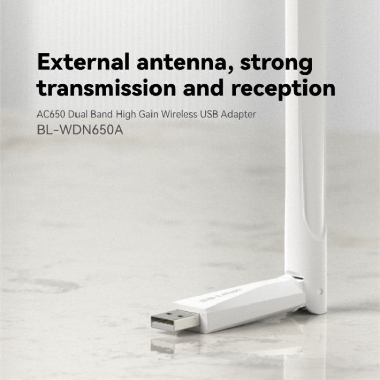 LB-LINK WDN650A For Decktop Computer Laptop Dual Band 650M Wireless USB Network Card - HoMEdemic™ 