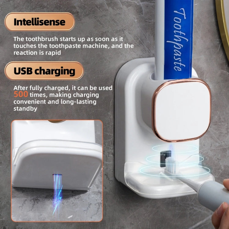 Smart Induction Toothpaste Squeezer 3 Modes Automatic Toothpaste Dispenser(Black) - HoMEdemic™ 