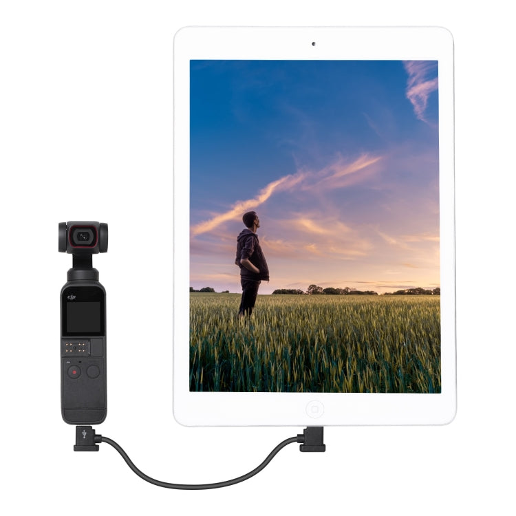 Sunnylife TY-X9304 Suitable For DJI Mavic Air 2S / DJI FPV Flight Glasses V2 / Mavic Mini2 / Osmo Pocket 2 Mobile Phone Tablet Cable 15cm Type-C to 8 Pin Cable - HoMEdemic™ 