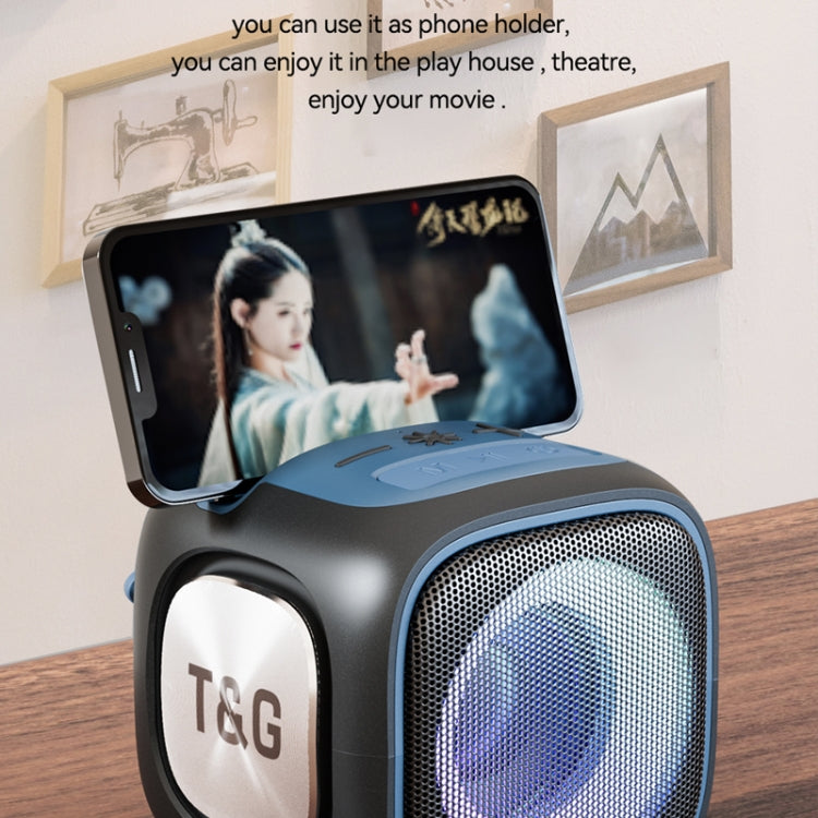 T&G TG359 Portable Outdoor LED Wireless Bluetooth Speaker(Black) - HoMEdemic™ 