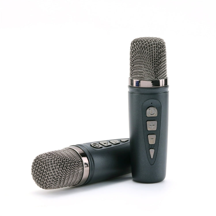 T&G TG543 Colorful Integrated Handheld Karaoke Wireless Bluetooth Speaker(Grey) - HoMEdemic™ 