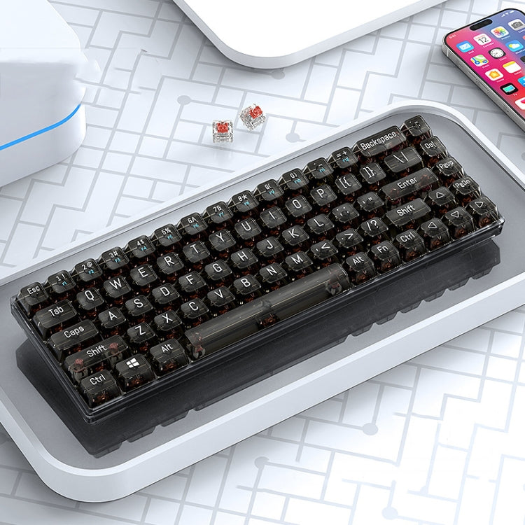 T-WOLF T40 68-Keys RGB Mixed Light Office Gaming Transparent Mechanical Keyboard(Black) - HoMEdemic™ 