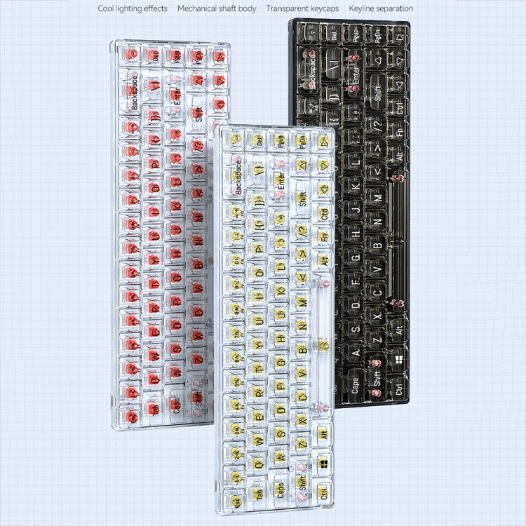 T-WOLF T40 68-Keys RGB Mixed Light Office Gaming Transparent Mechanical Keyboard(Black) - HoMEdemic™ 