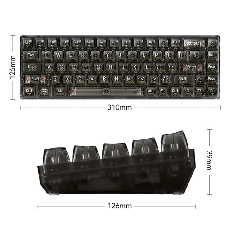 T-WOLF T40 68-Keys RGB Mixed Light Office Gaming Transparent Mechanical Keyboard(Black) - HoMEdemic™ 