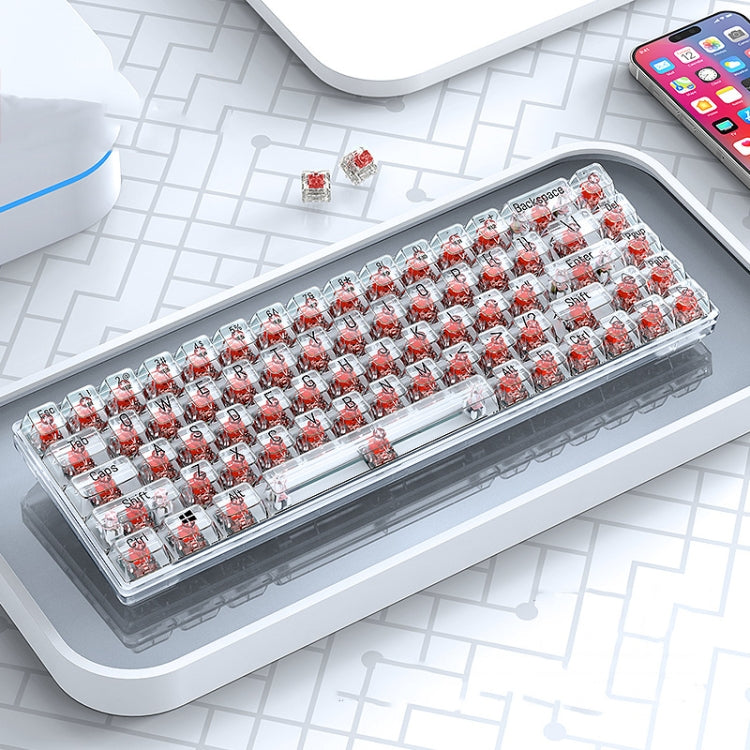 T-WOLF T40 68-Keys RGB Mixed Light Office Gaming Transparent Mechanical Keyboard(Red) - HoMEdemic™ 