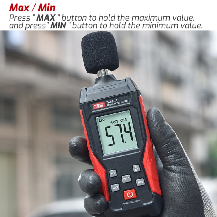 TASI TA650A Decibel Detector House Volume Tester Noise Meter - HoMEdemic™ 
