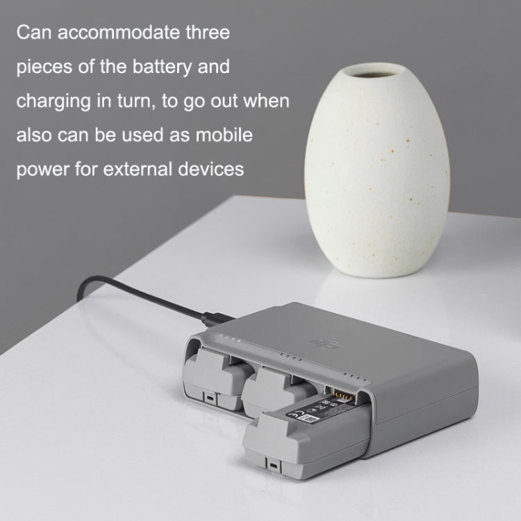 Original DJI Mini 2 / Mini SE Two-way Charging Butler(Gray) - HoMEdemic™ 