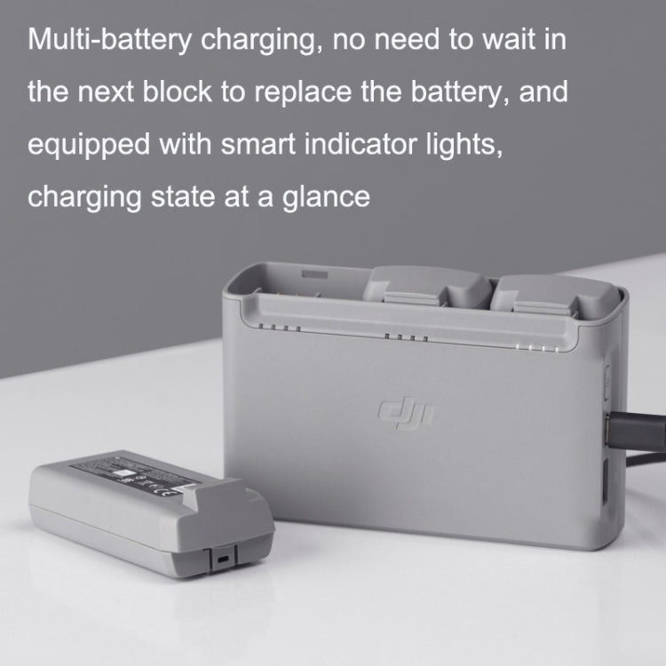 Original DJI Mini 2 / Mini SE Two-way Charging Butler(Gray) - HoMEdemic™ 