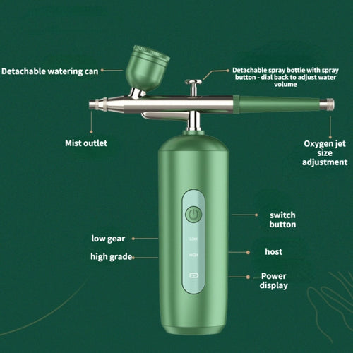 Handheld Home Sprayer Face High Pressure Oxygen Hydration Beauty Instrument(2133 Green) - HoMEdemic™ 