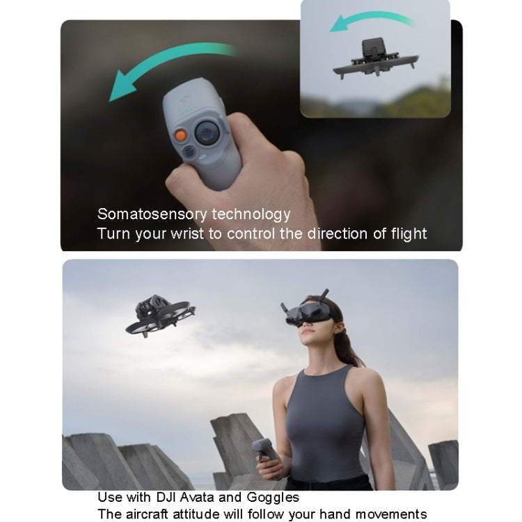 Original DJI RC Motion 2 For Avata / Goggles 2 / Goggles Integra / FPV Goggles V2 - HoMEdemic™ 