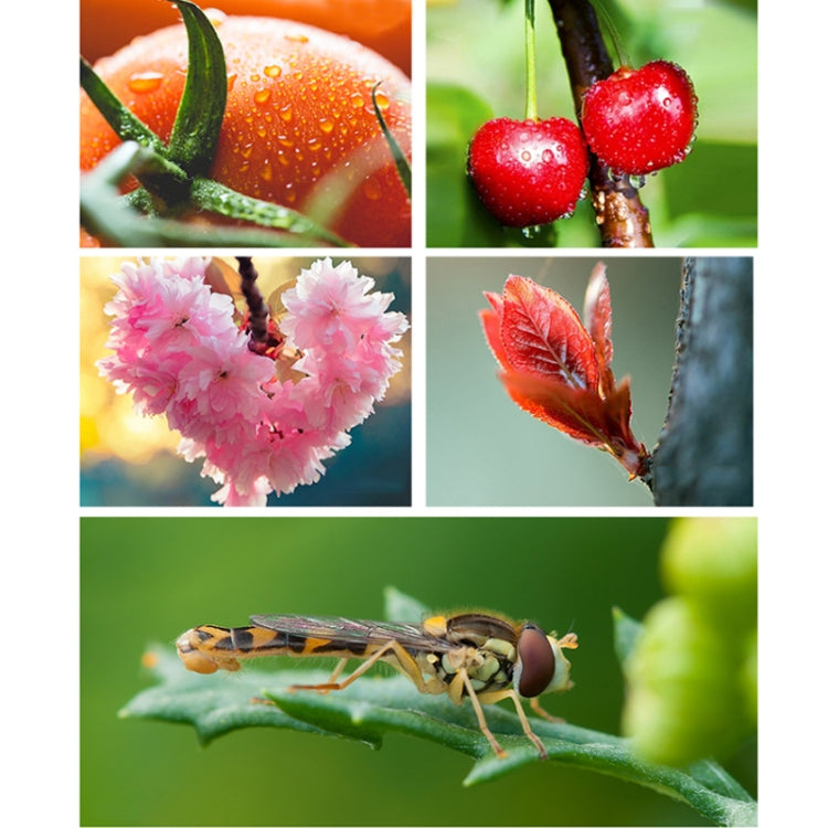 APEXEL CM-HB100CPL HB100mm HD External Macro Mobile Phone Lens with CPL(Black) - HoMEdemic™ 