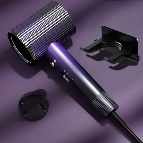 1600W Negative Ion Hair Dryer With  3 Speed Adjustment,CN Plug Standard Edition(Purple) - HoMEdemic™ 