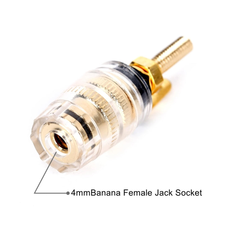 Medium Extended Transparent Terminal Block 4mm Banana Socket Audio Amplifier Junction Post(Black) - HoMEdemic™ 