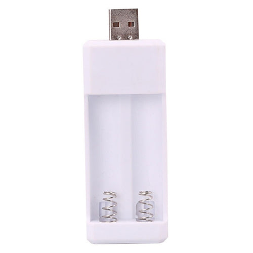 Directly Inserted 2 Slots USB AA / AAA Rechargeable Battery Charger - HoMEdemic™ 