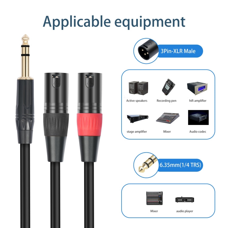 TC145YXK108RE-10 6.35mm 1/4 TRS Male to Dual XLR Male Audio Cable, Length:1m(Black) - HoMEdemic™ 