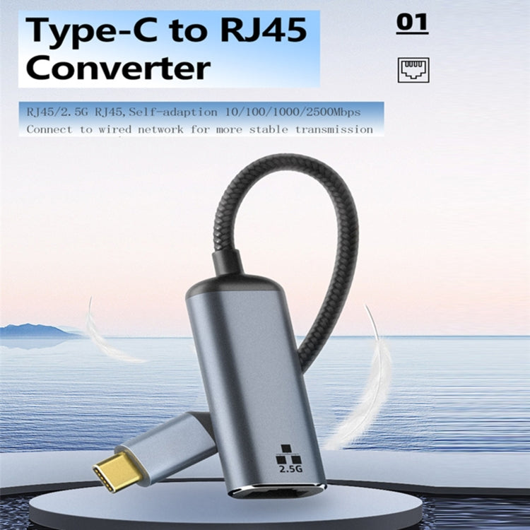 Type-C to RJ45 2500Mbps Ethernet Adapter - HoMEdemic™ 