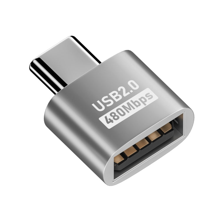 USB 2.0 Female to Type-C Male Adapter (Silver) - HoMEdemic™ 
