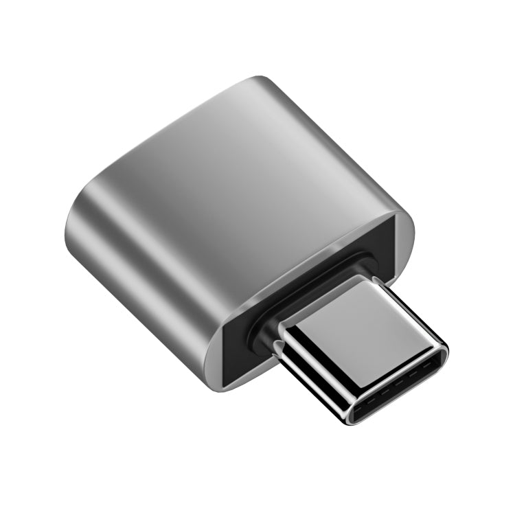 USB 2.0 Female to Type-C Male Adapter (Silver) - HoMEdemic™ 
