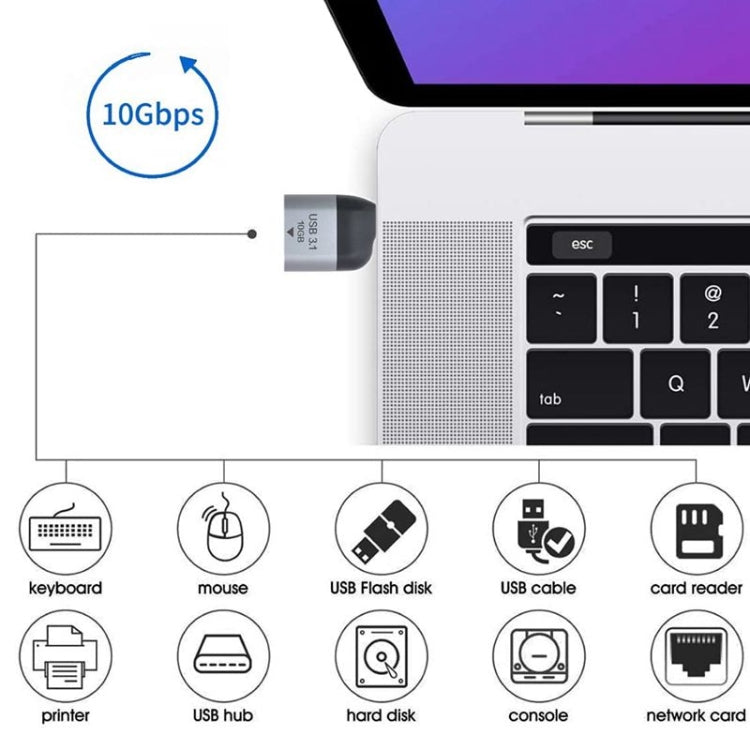 USB 3.0 Type A Female to USB 3.1 Type C Male Host OTG Data 10Gbps Adapter for Laptop & Phone - HoMEdemic™ 