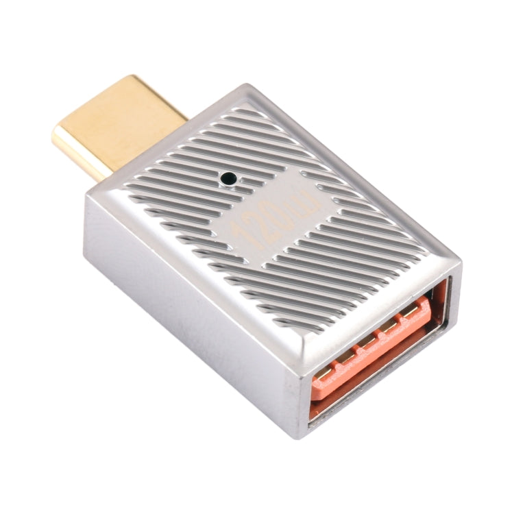 USB-C / Type-C Male to USB Female 10 Gbps Straight Charging Adapter (Silver) - HoMEdemic™ 