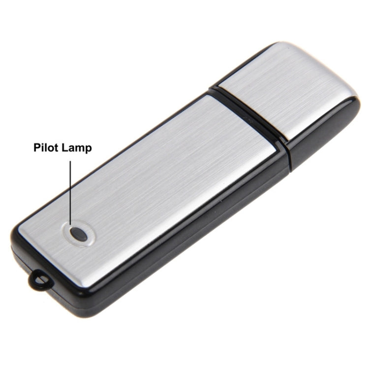 USB Voice Recorder + 16GB USB Flash Disk - HoMEdemic™ 