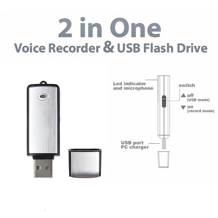 USB Voice Recorder + 16GB USB Flash Disk - HoMEdemic™ 