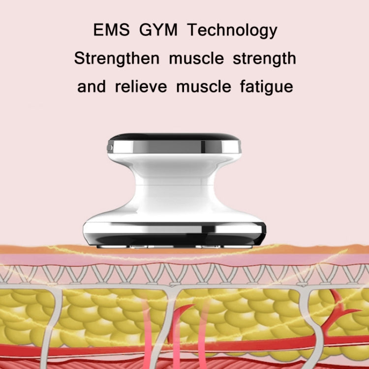 Ultrasonic Shaping Fat Burning Slimming Beauty Instrument(White) - HoMEdemic™ 