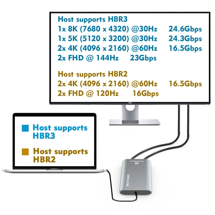 WAVLINK UTA21D DP 4K/5K/8K Video Thunderbolt 3 Type-C to Dual DisplayPort  Adapter - HoMEdemic™ 