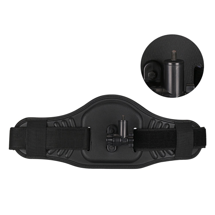 Waist Belt Mount Strap with Adapter & Screw for GoPro, Insta360, DJI and Other Action Cameras(Black) - HoMEdemic™ 
