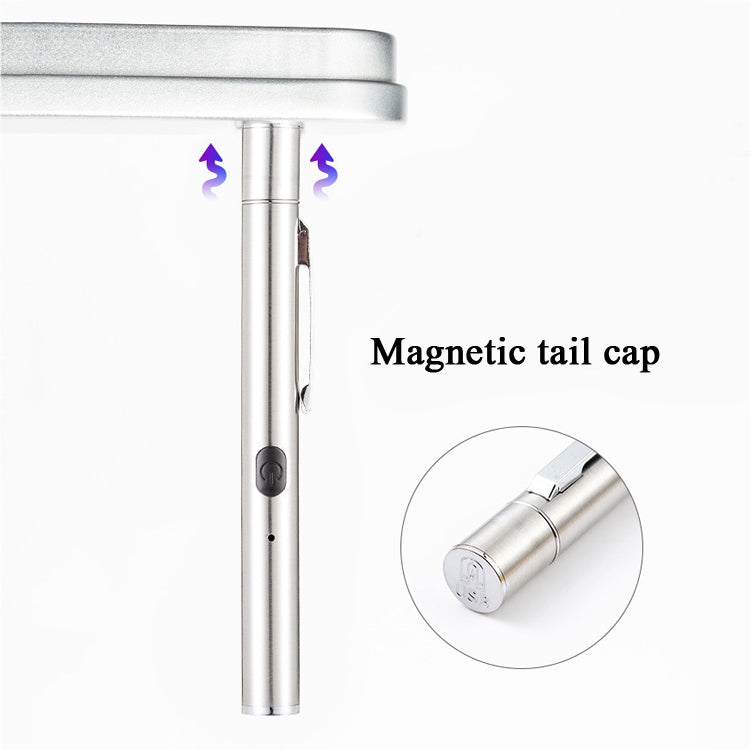 Woods Lamp Cat Moss Detection Lamp Cat Urine Blackhead 365UV Black Mirror Ultraviolet Fluorescent Agent Money Detector Lamp(Silver) - HoMEdemic™ 