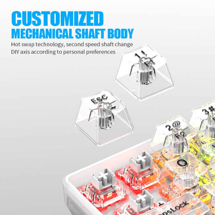 XUNFOX K30 Pro 2.4G + BT + Wired Transparent 61-Keys Mechanical White Axis Keyboard(White) - HoMEdemic™ 