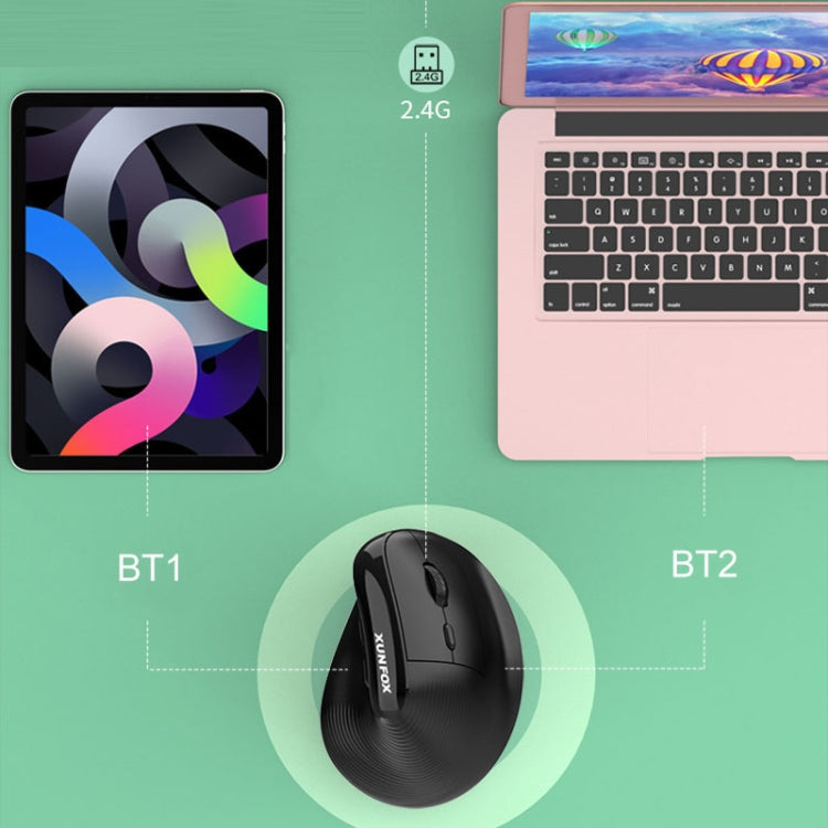 XUNSVFOX H5 Upright Vertical Dual Mode Mouse Rechargeable Wireless Business Office Mouse(Black) - HoMEdemic™ 