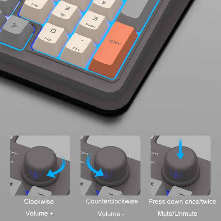XUNSVFOX K820 Wired Gaming Mechanical Feeling 94 Keys Keyboard And Mouse Set(Lake Blue) - HoMEdemic™ 