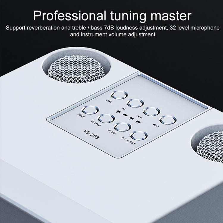 YS-203 Bluetooth Karaoke Speaker Wireless Microphone, YS-203 (Gold), YS-203 (Black), YS-203 (Red), YS-203 (Silver) - HoMEdemic™ 