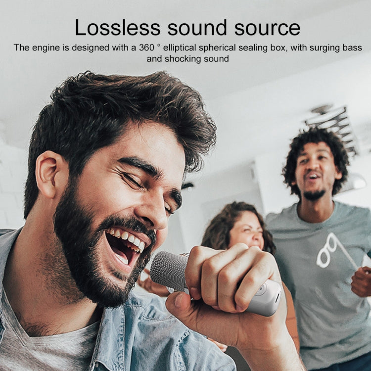 YS-203 Bluetooth Karaoke Speaker Wireless Microphone, YS-203 (Gold), YS-203 (Red), YS-203 (Silver), YS-203 (Black) - HoMEdemic™ 