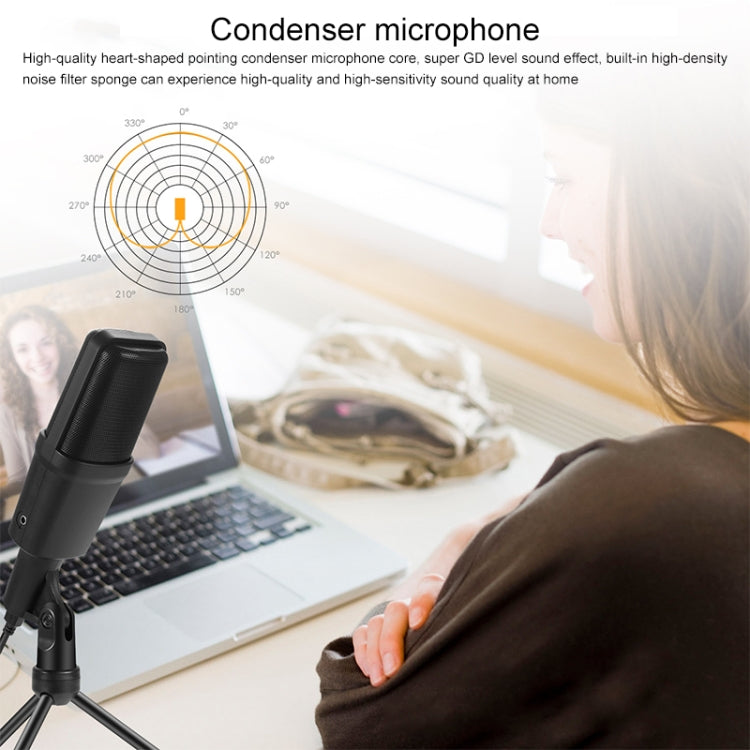 Yanmai SF-970 Professional Condenser Sound Recording Microphone with Tripod Holder & USB Cable , Cable Length: 1.8m - HoMEdemic™ 