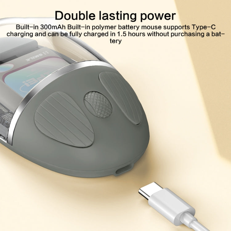 ZGA Colorful Transparent Dual Mode Wireless 2.4G + Bluetooth 5.0 Mouse(Pink) - HoMEdemic™ 