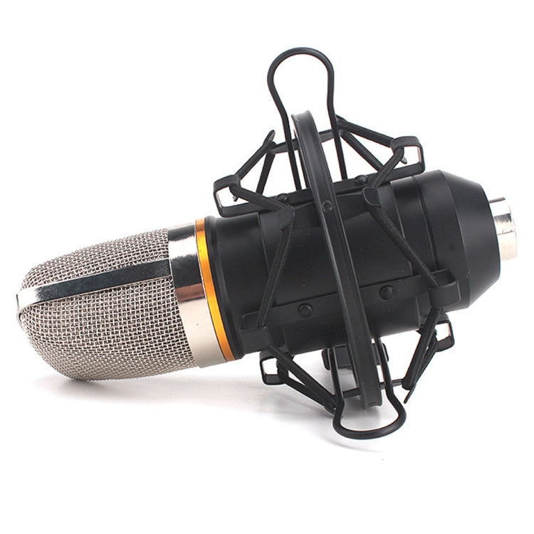 for Studio Recording, Live Broadcast, Live Show, KTV, etc., Shock Holder - HoMEdemic™ 